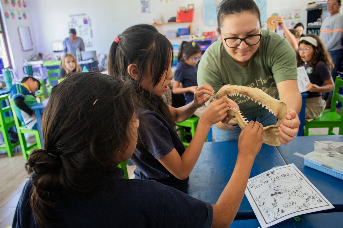 Niñas y niños en una actividad de educación ambiental
