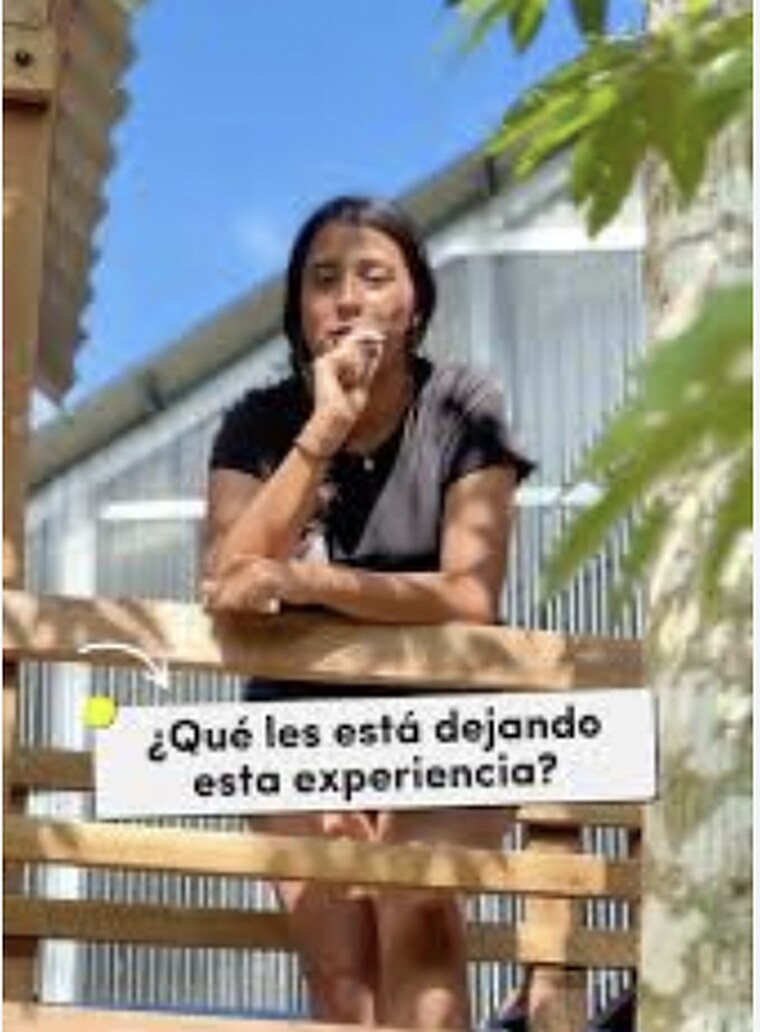 Publicación: testimonio de voluntaria