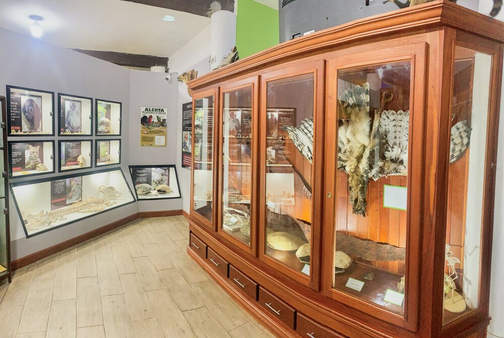 Sala de exposición permanente del CEBIO
