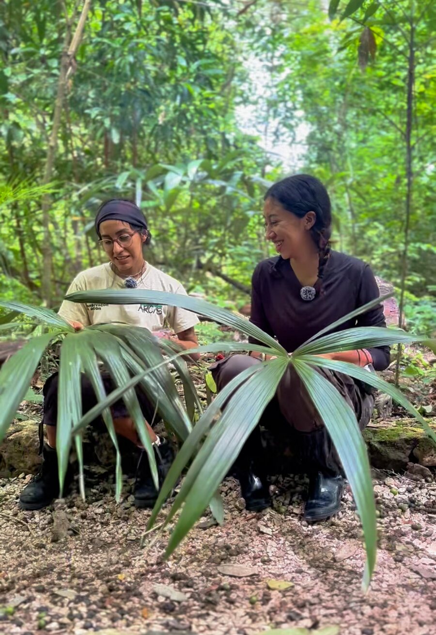 Pasantes trabajando con vegetación nativa