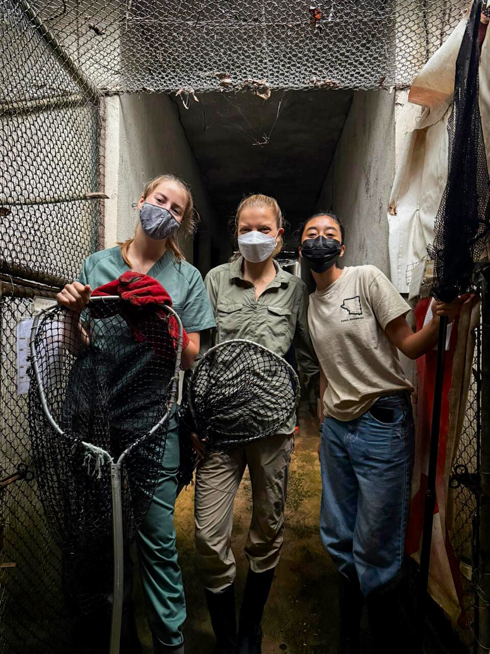 Pasantes trabajando en el centro de rescate